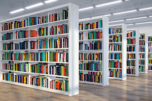 Estudiar Bibliotecología Estudiar Bibliotecología